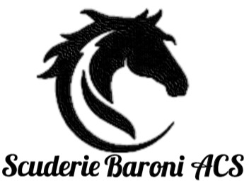 Onoranze Funebri Cavagnetto ad Ivrea (TO) e Santhià (VC) ~ Funerali con carrozze e cavalli Scuderie Baroni ASD - Tenuta La Grecia - Cuceglio (TO)